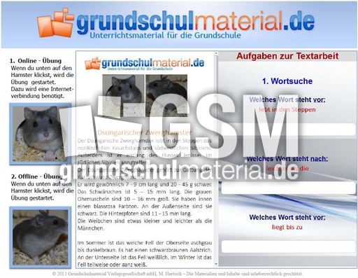 Dsungarischer Zwerghamster.zip